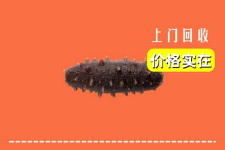 收购资讯:沈北新区回收海参