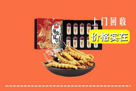 沈北新区回收虫草