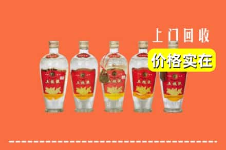 沈北新区回收老五粮液